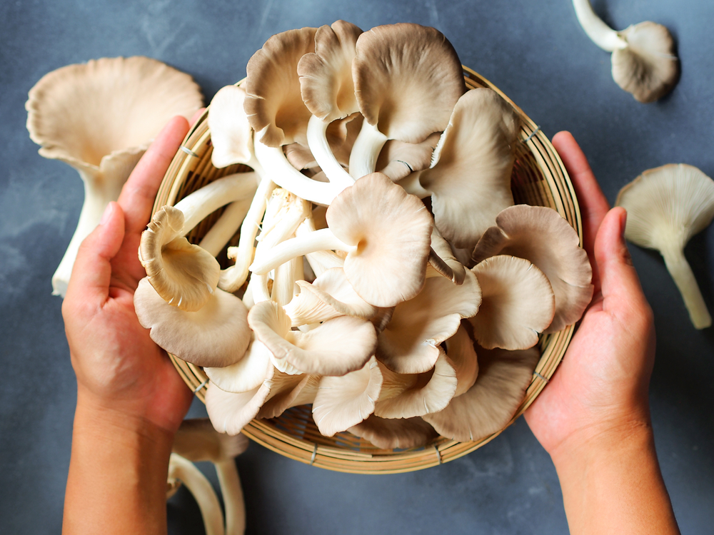 Woman,Hand,Holds,A,Basket,Of,Lung,Oyster,Mushrooms.