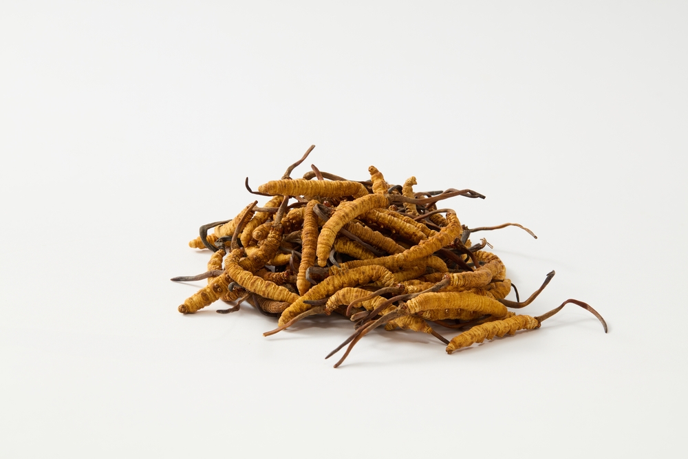 A,Pile,Of,Dried,Cordyceps,Sinensis,Decorated,Over,The,White