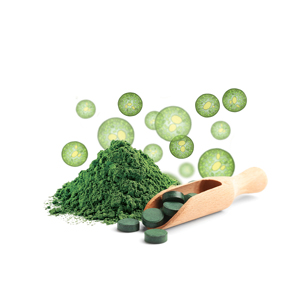 Chlorella