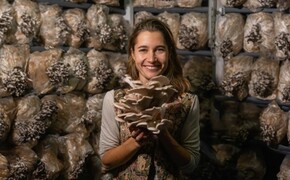 Nalezení rovnováhy. Jak vlastně fungují vitální houby?