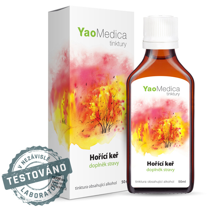 045 - Hořící keř