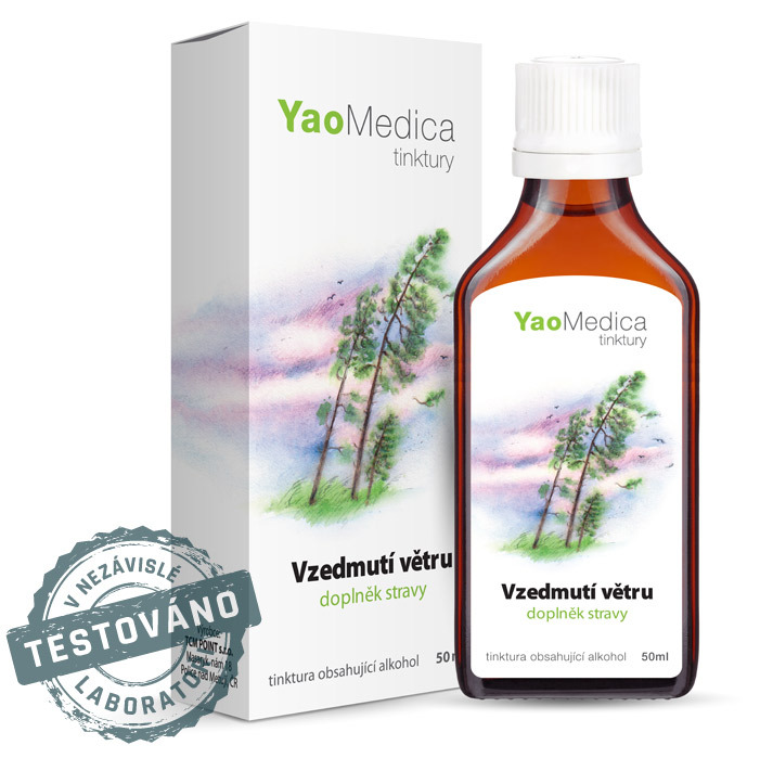 091 - Vzedmutí větru