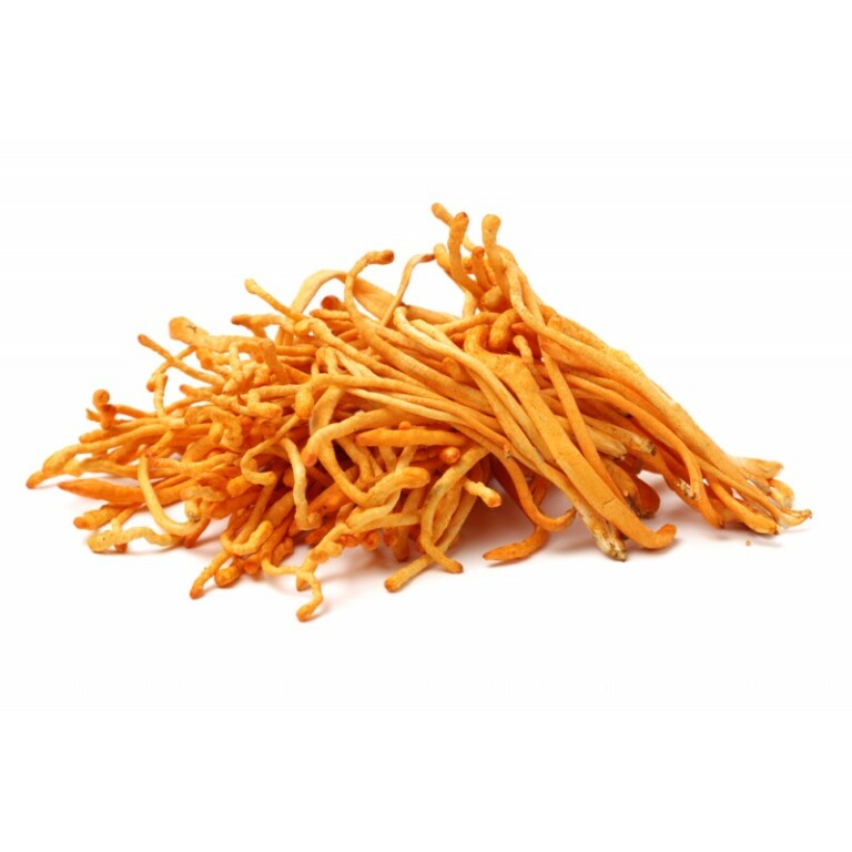 BIO prek Cordyceps sinensis
