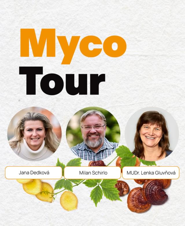 MycoTour - semináře o houbách a bylinách