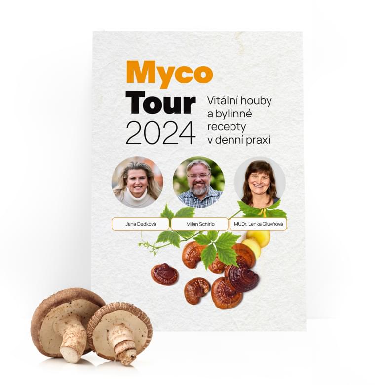 MycoTour 2024_Detail kopie