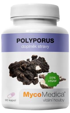 Polyporus_vypis